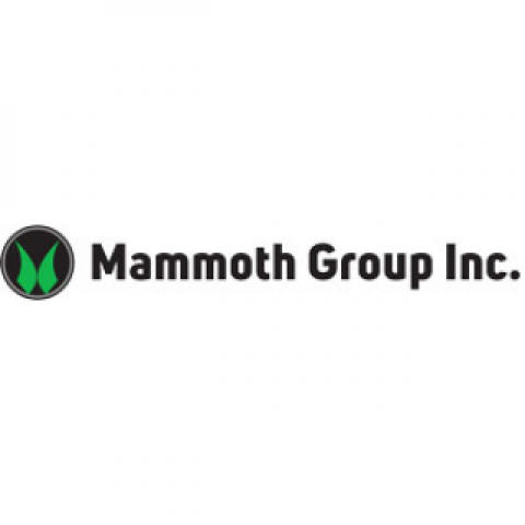 The Mammoth Group at iBusiness Directory USA