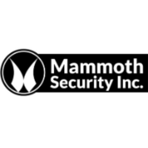 Mammoth Security Inc. New Britain at iBusiness Directory USA