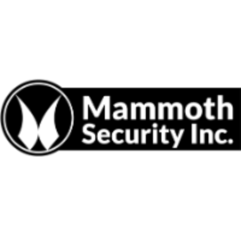 Mammoth Security Inc. New Britain