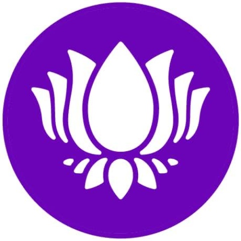 Purple Lotus