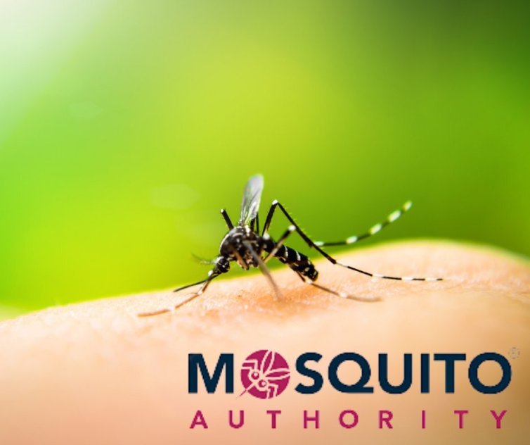 Mosquito Authority-Princeton/Robbinsville, NJ