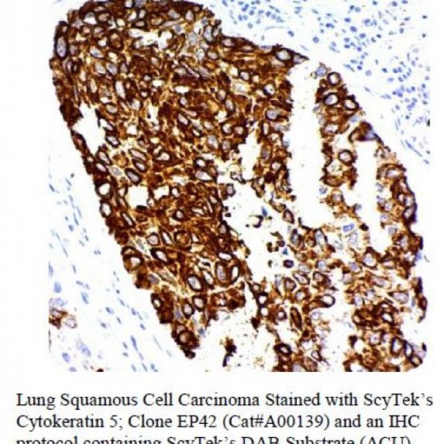 Scytek Laboratories Inc - #1 Diagnostic Reagents