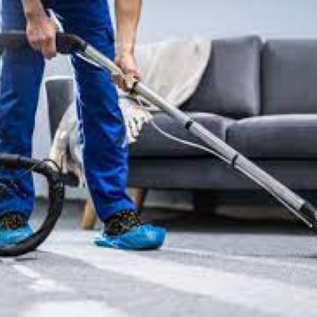 professional carpet cleaning