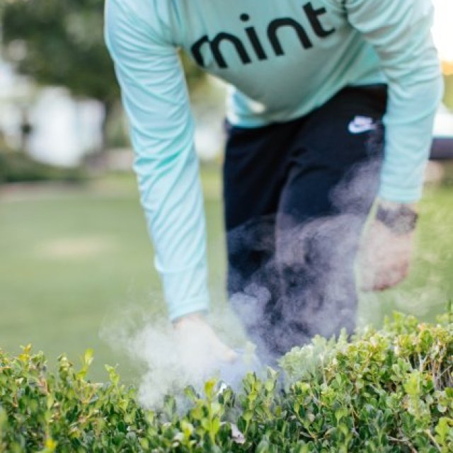 Mint Pest Control