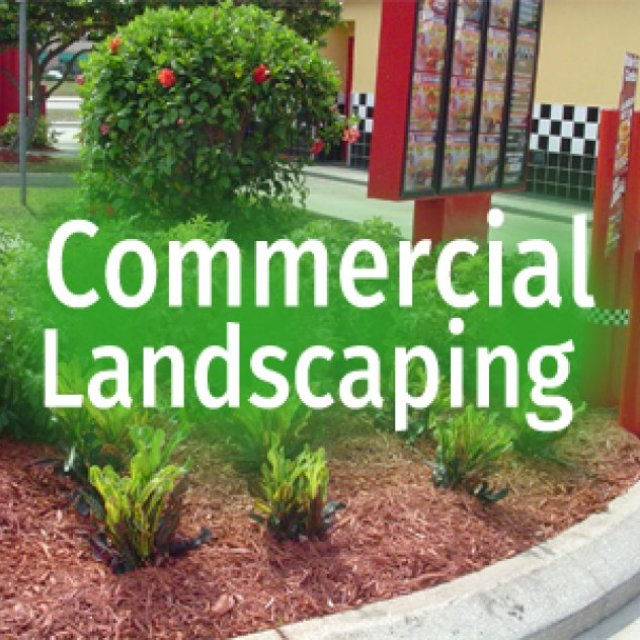 All Weather Tree and Landscaping Service, Inc.