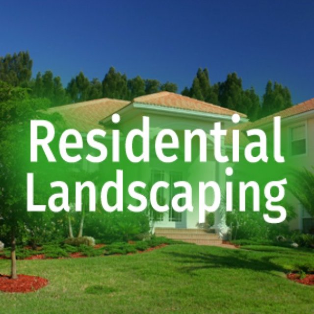 All Weather Tree and Landscaping Service, Inc.