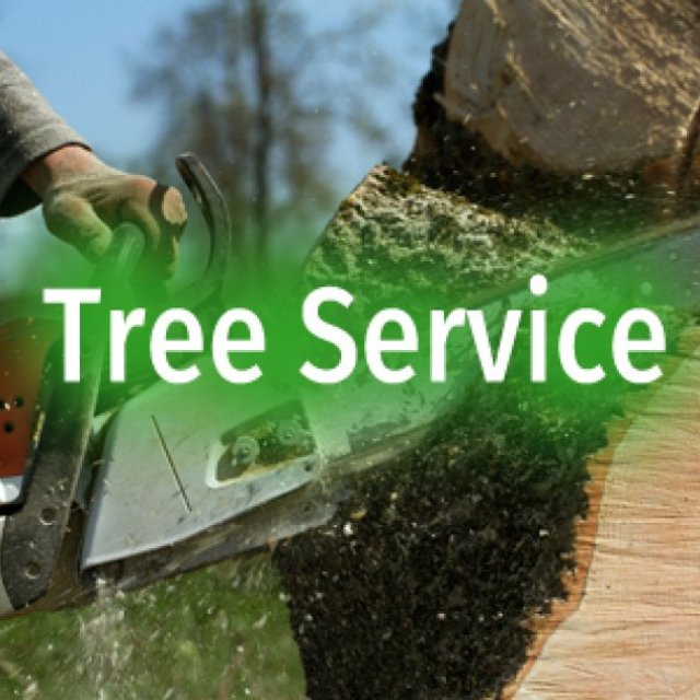 All Weather Tree and Landscaping Service, Inc.