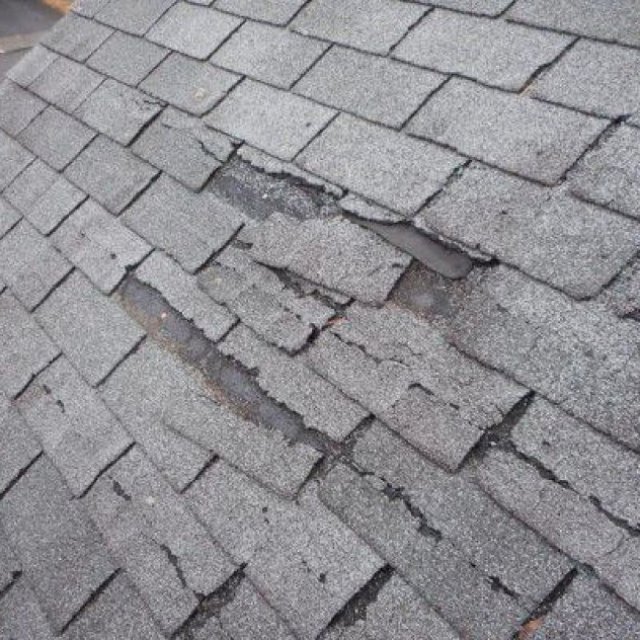 Rapid Roofing