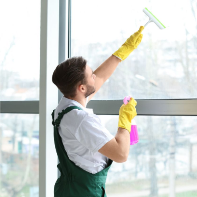 RicSan Cleaning
