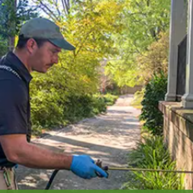 Pest Management Systems, Inc.