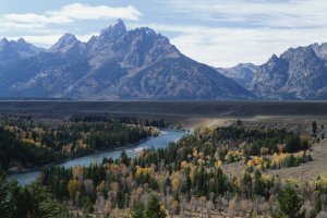 Best Businesses in Wyoming, US