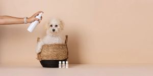 Animal Care & Products