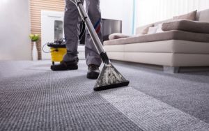 Carpet Rug Cleaners