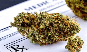 Cannabis Dispensaries