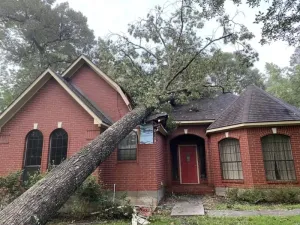 Property Damage Restoration