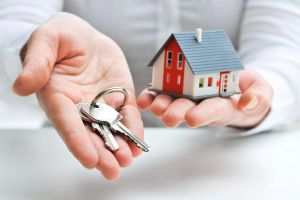 Real Estate