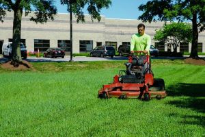Lawn Maintenance