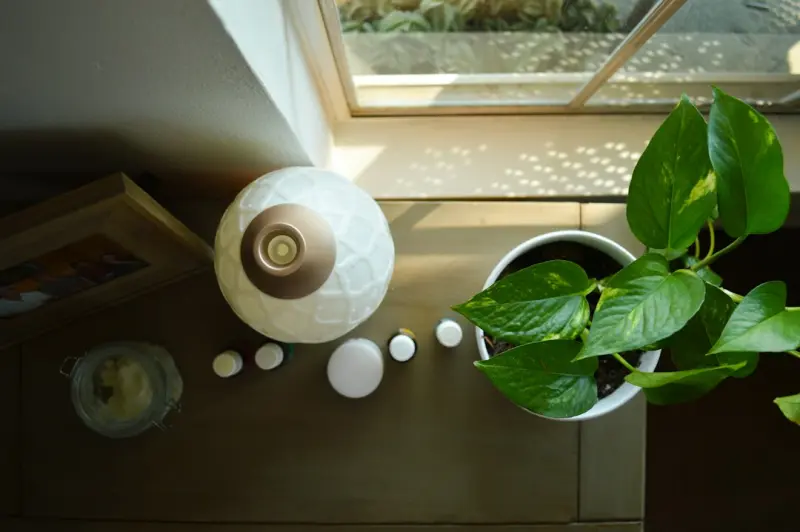 Layered Lighting, Fresh Air, and Tiny Habits: A 7‑Day Blueprint for a Calm, Productive Home - iBusiness Directory US