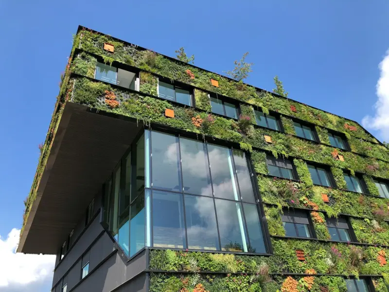 Sustainable Cloud Architecture: Turning Green Into a Competitive Edge for SaaS - iBusiness Directory US