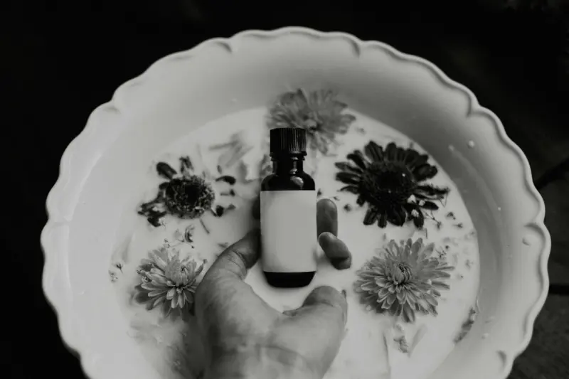 Tiny Rituals for a Home That Feels Like a Warm Embrace - iBusiness Directory US Tiny Rituals for a Home That Feels Like a Warm Embrace - iBusiness Directory US