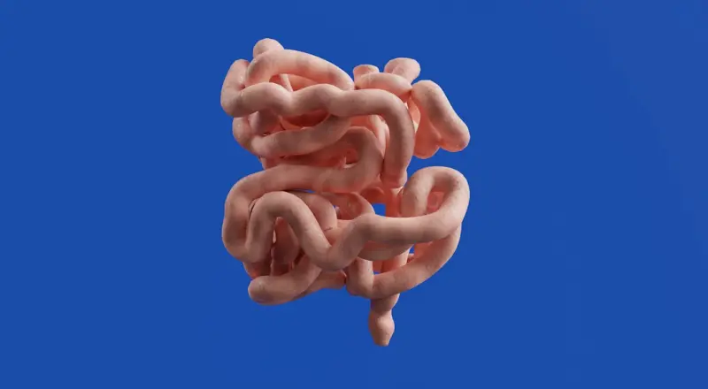 Gut Feelings: Leveraging Microbiome Science for Sustainable Health and Performance - iBusiness Directory US