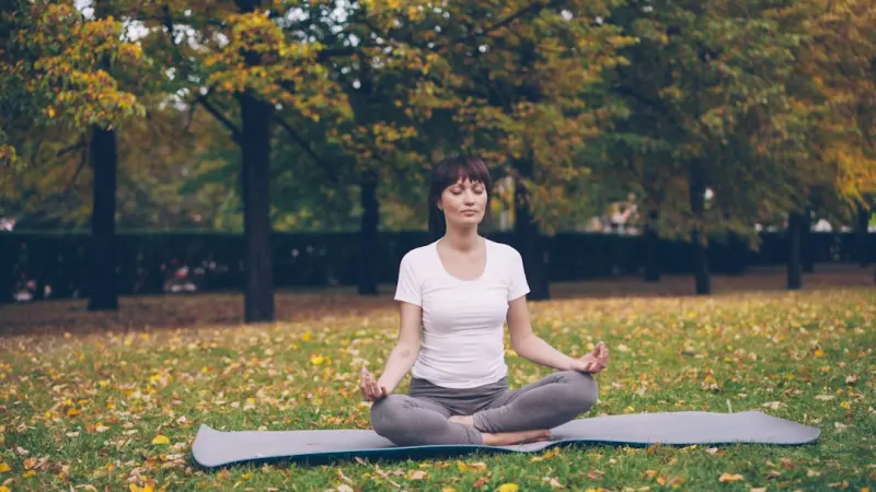 The Quiet Cure: Harnessing Daily Silence to Supercharge Your Immune System - iBusiness Directory US