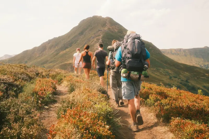 Hydration Hacks for Remote Professionals: Boost Focus, Energy, and Immunity - iBusiness Directory US
