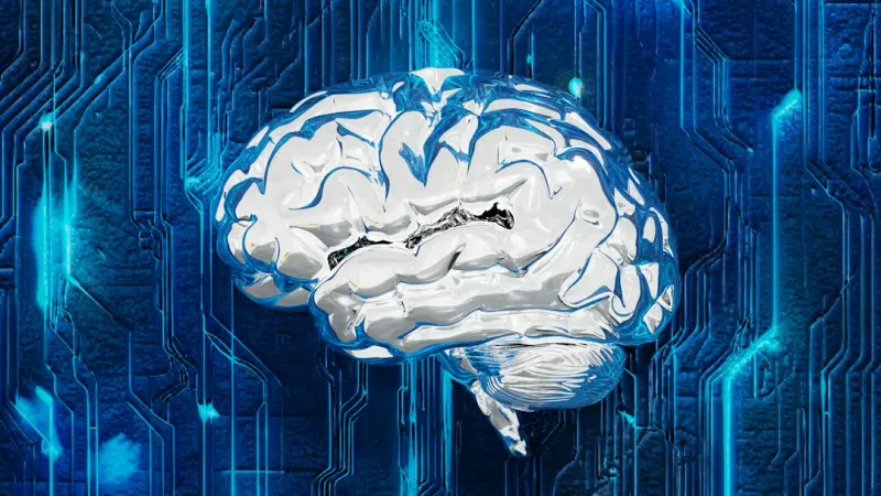 When Data Meets Feelings: Neuromarketing Tactics That Transform B2B Digital Campaigns - iBusiness Directory US