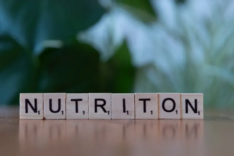 Screen Fatigue Survival: Nutrition, Movement, and Mindset for SaaS Professionals