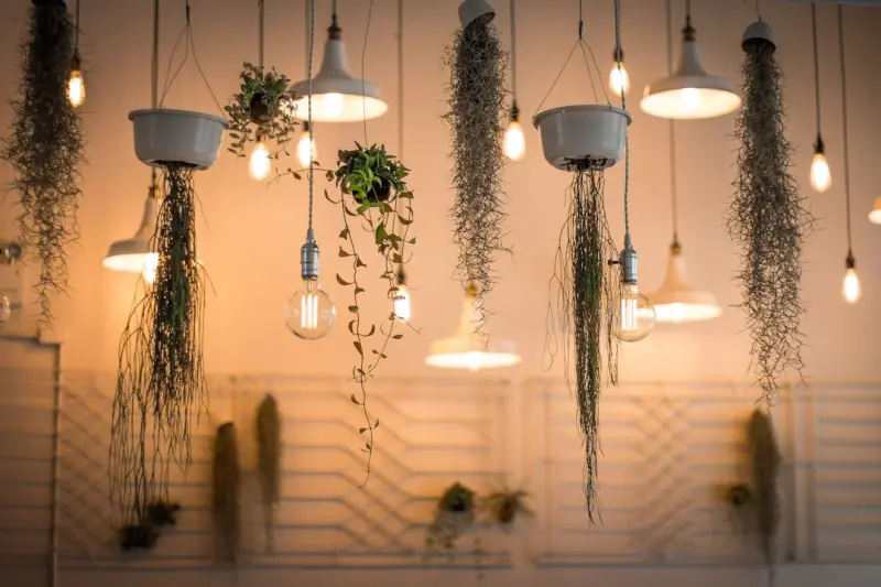 Light Up Your Life: Home Lighting Strategies for Health, Focus, and Mood