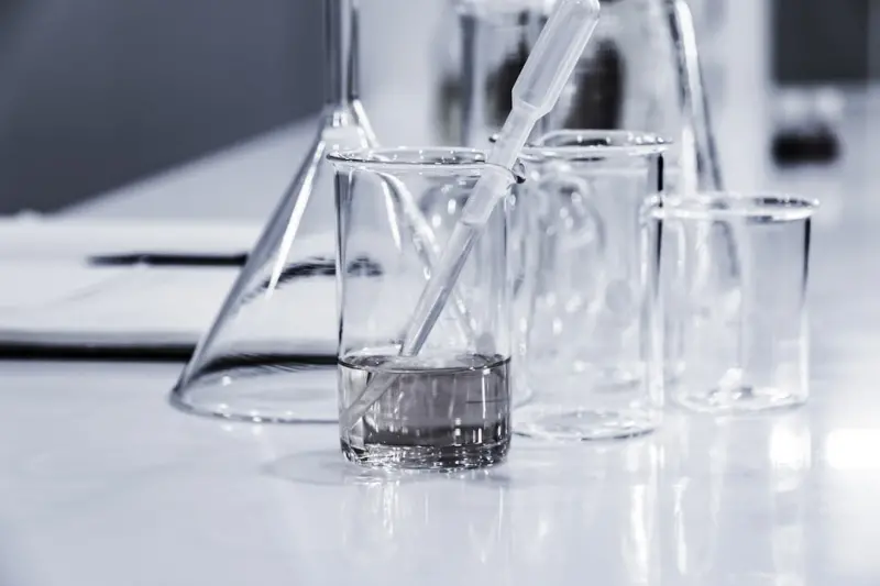 SEO as a Scientific Lab: How to Run Experiments that Drive Sustainable Growth