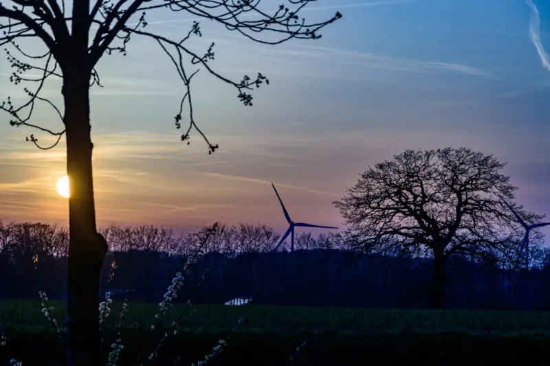 The Unseen Benefits of a Structured Evening Wind‑Down for Remote Professionals