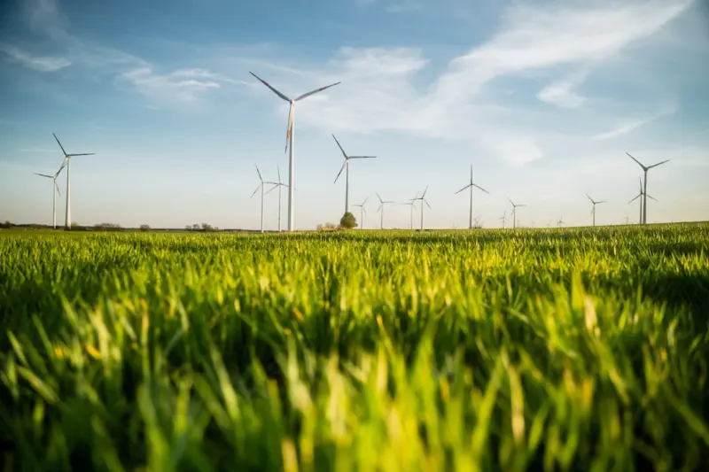 Why SaaS AI Needs a Green Strategy: Tackling the Hidden Energy Bill