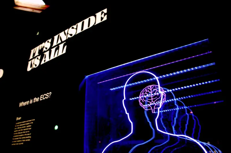 Immersive Storytelling Meets Data‑Driven Empathy in SaaS Marketing