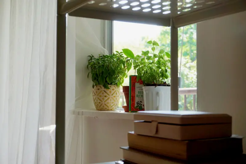 Quiet Corners: Turning Small Spaces into Productive Sanctuaries