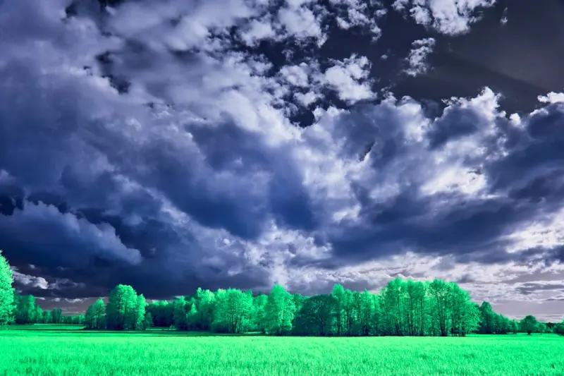 Why Green Cloud Isn’t Just a Buzzword: Harnessing Google’s Carbon‑Aware Compute for SaaS Growth Why Green Cloud Isn’t Just a Buzzword: Harnessing Google’s Carbon‑Aware Compute for SaaS Growth