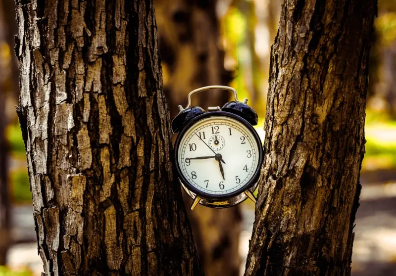 Unlocking Your Body Clock: How to Align Daily Routines with Your Natural Chronotype Unlocking Your Body Clock: How to Align Daily Routines with Your Natural Chronotype