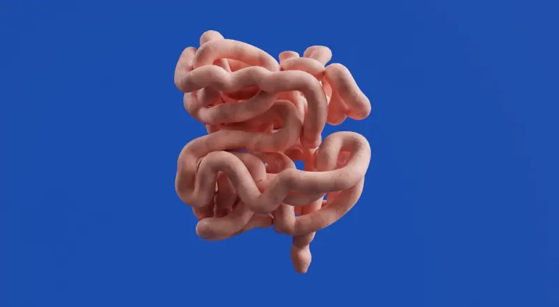 Gut Feelings: How Your Microbiome Shapes Mood and Immunity