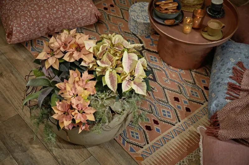 5 Unexpected Ways to Refresh Your Home This Season