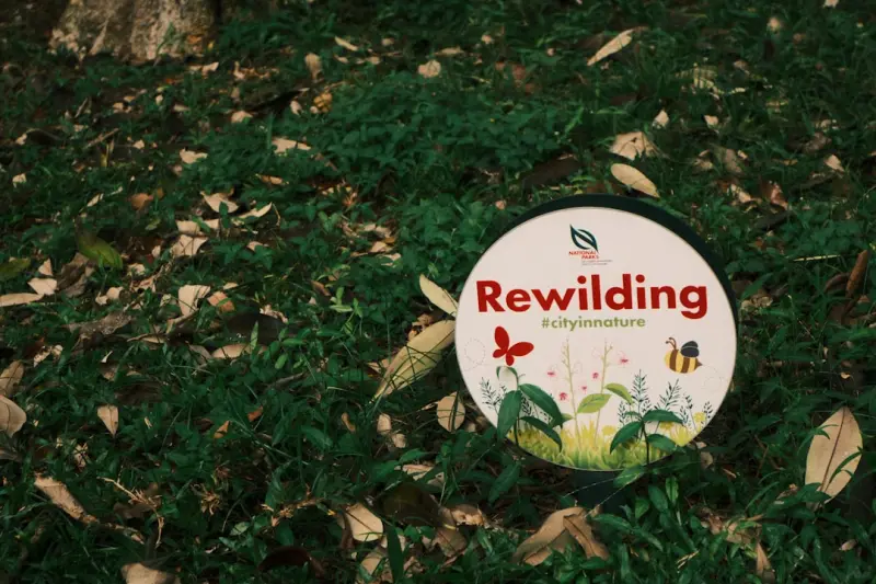 Rewilding Your Daily Routine: How Nature Immersion Boosts Health Rewilding Your Daily Routine: How Nature Immersion Boosts Health