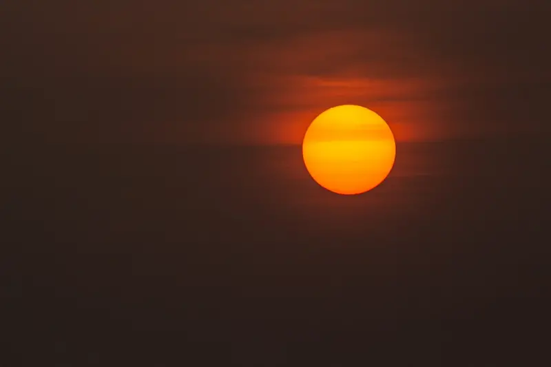 Let the Sun In: Simple Strategies to Light Up Your Home and Save Energy