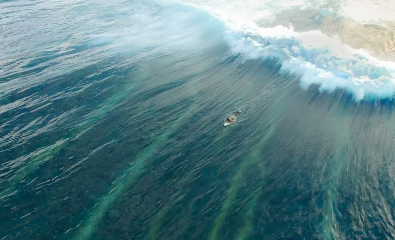 Surfing Google’s 2024 AI Tsunami: Rose DesRochers’ Insider Playbook