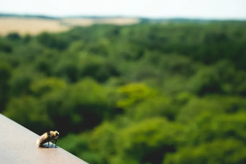 Why Tiny Escapes Are the Next Big Thing in Travel
