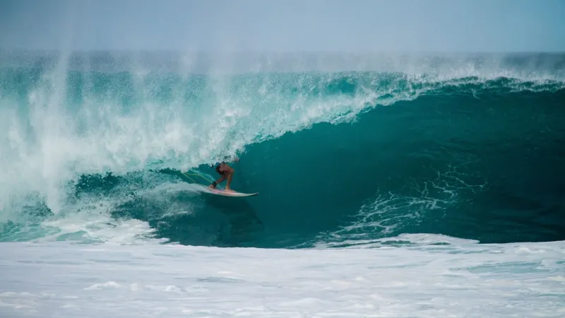 Riding the Google AI Wave: Rose DesRochers’ Insider Take on the Latest Revolution Riding the Google AI Wave: Rose DesRochers’ Insider Take on the Latest Revolution