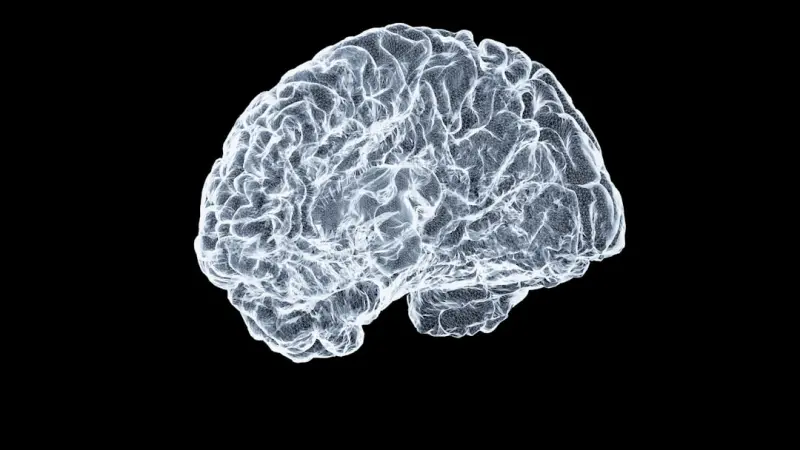 Reclaiming Your Brain: A Practical Blueprint for Digital Detox