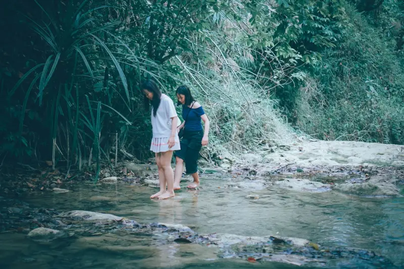 Forest Bathing: How Immersive Nature Walks Rewire Your Brain and Boost Immunity