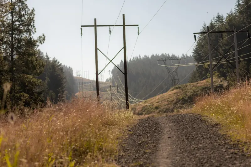 The Hidden Power of Post‑Meal Walks: Boost Your Metabolism and Mood