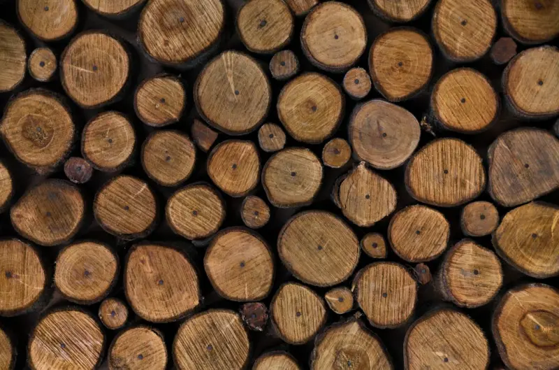 When AI Becomes Your Data Whisperer: Turning Logs into Decisions