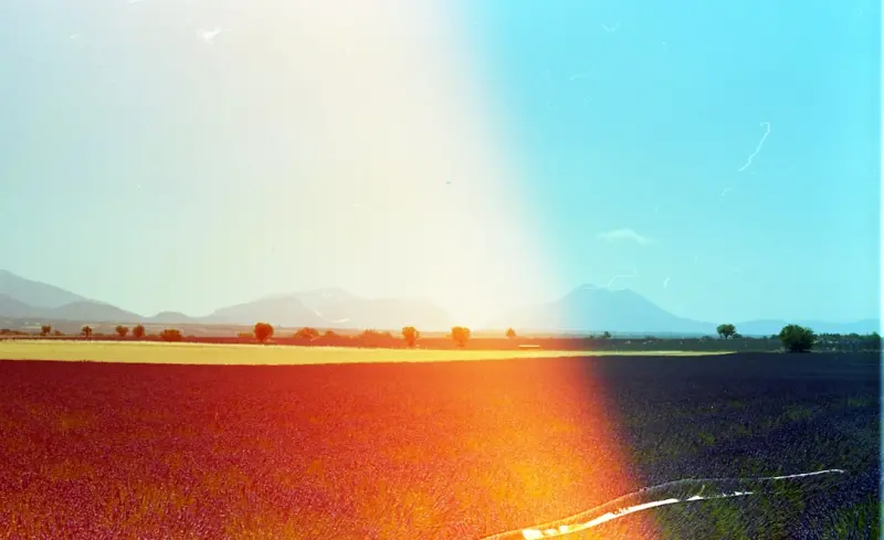 Reclaim Your Day: How Natural Light Can Supercharge Your Health