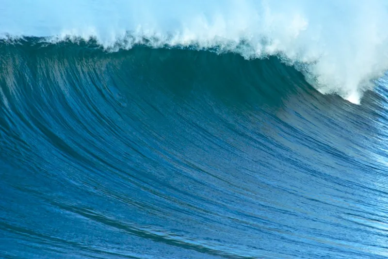 Riding the AI Wave: Rose DesRochers’ Insider Playbook for Google’s 2024 Search Revolution Riding the AI Wave: Rose DesRochers’ Insider Playbook for Google’s 2024 Search Revolution
